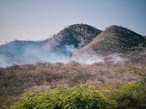 Força-tarefa intensifica trabalho e controla incêndio na Serra do Cruzeiro