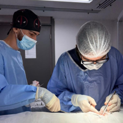 Hospital do Pet realiza primeira cirurgia torácica e consolida João Pessoa como referência na saúde animal