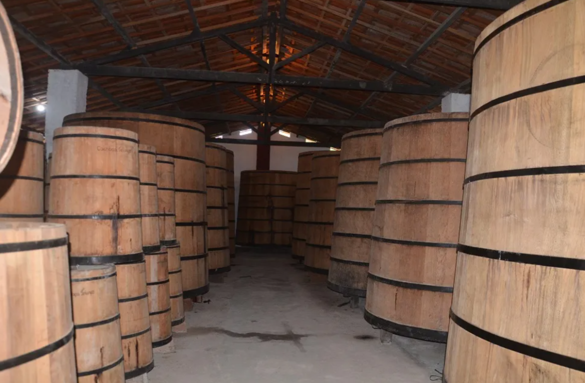 PARAHYBA E SUAS HISTÓRIAS. A Paraíba e a cachaça - Por Sérgio Botelho 