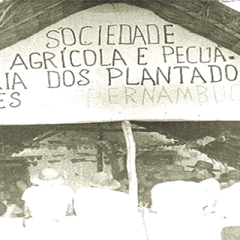PARAHYBA E SUAS HISTÓRIAS: Nego Fuba e Pedro Fazendeiro - Por Sérgio Botelho