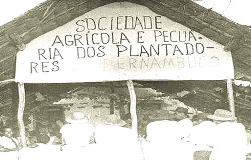 PARAHYBA E SUAS HISTÓRIAS: Nego Fuba e Pedro Fazendeiro - Por Sérgio Botelho