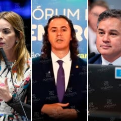 Senadores da Paraíba se posicionam contra a PEC da Blindagem; Daniella Ribeiro ainda não se manifestou oficialmente