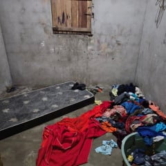 Delegado afirma que mulher presa em Gurinhém pagava crianças para produzir vídeos sexuais vendidos nacionalmente