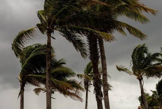 Inmet emite alerta de ventos fortes para 80 cidades da Paraíba, com possibilidade de quedas de árvores