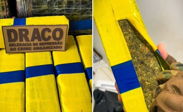 Imagem: Reprodução